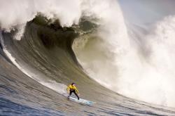 开云体育平台APP-当瑞士钟表匠遭遇委内瑞拉热带风暴，NBA总决赛，一场精密与野性的交响诗