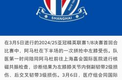 开云体育中国-泰达主场不敌申花，连续两轮失利的简单介绍