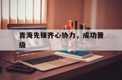开云体育在线-青海先锋齐心协力，成功晋级的简单介绍