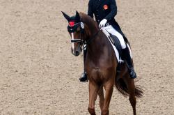 开云体育平台APP-阿联酋马术选手表现出色取得头名