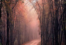 开云体育中国-精英对决，选手实力均衡展开激烈竞争的简单介绍