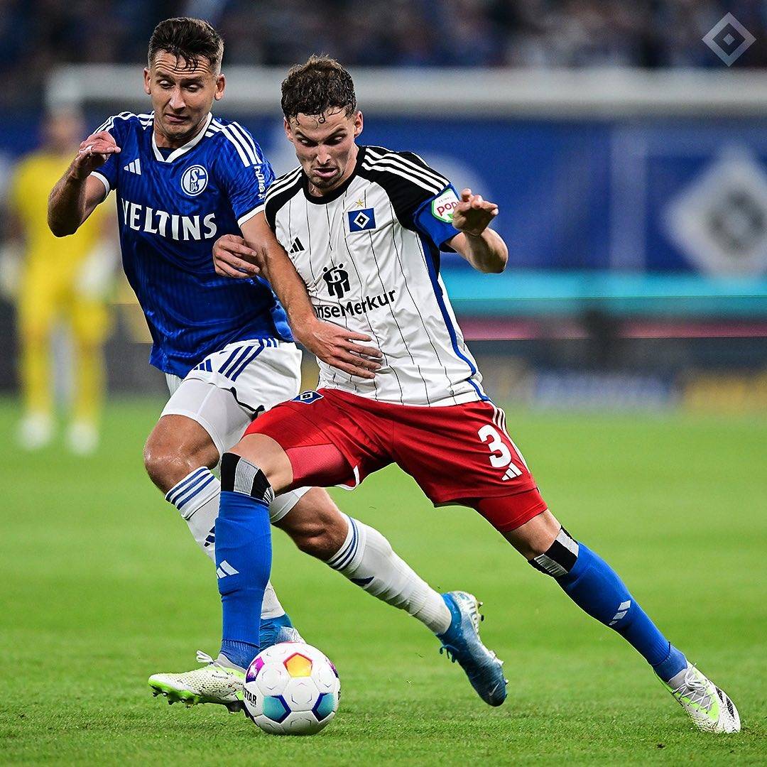 汉堡主场落败，遭受沉重挫败