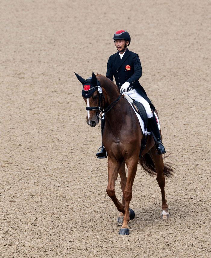 阿联酋马术选手表现出色取得头名 阿联酋马术选手表现出色取得头名