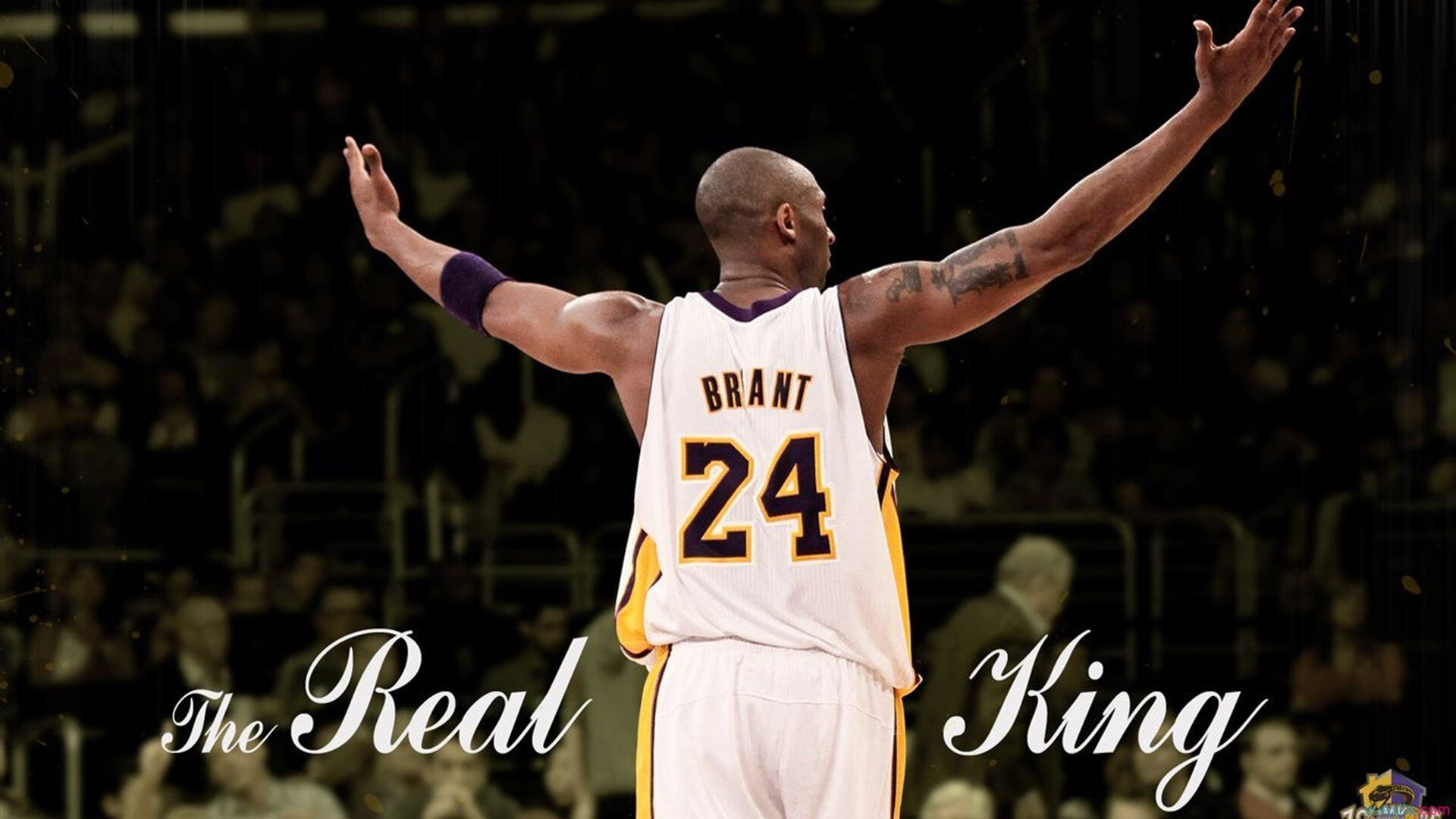 大场面先生！西亚卡姆舞台越大越强，鹈鹕轻取广厦一波带走比赛