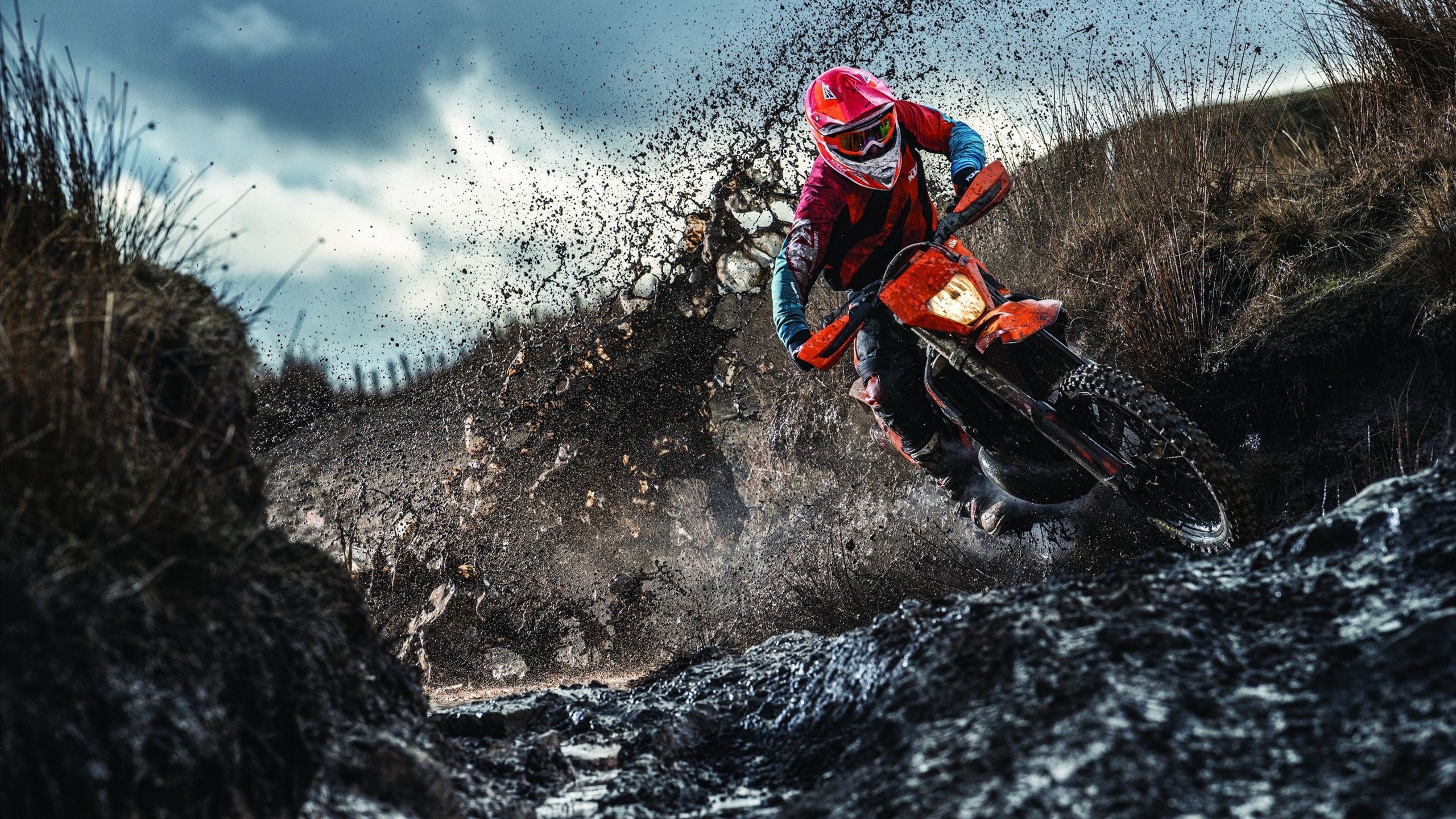 足羽交响曲，德国队完胜法国队，陈雨菲状态火热点燃双赛道