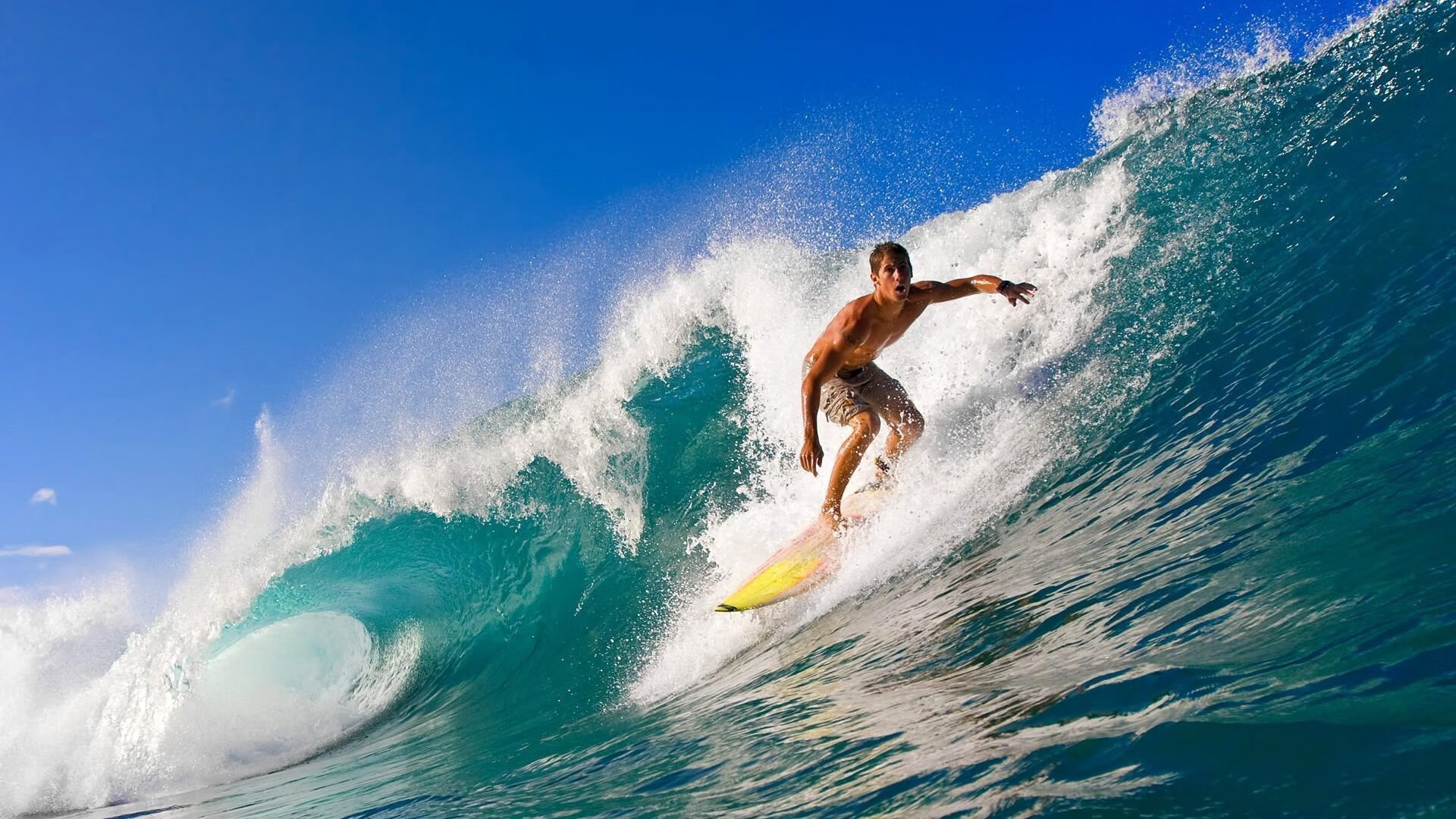 足羽交响曲，德国队完胜法国队，陈雨菲状态火热点燃双赛道